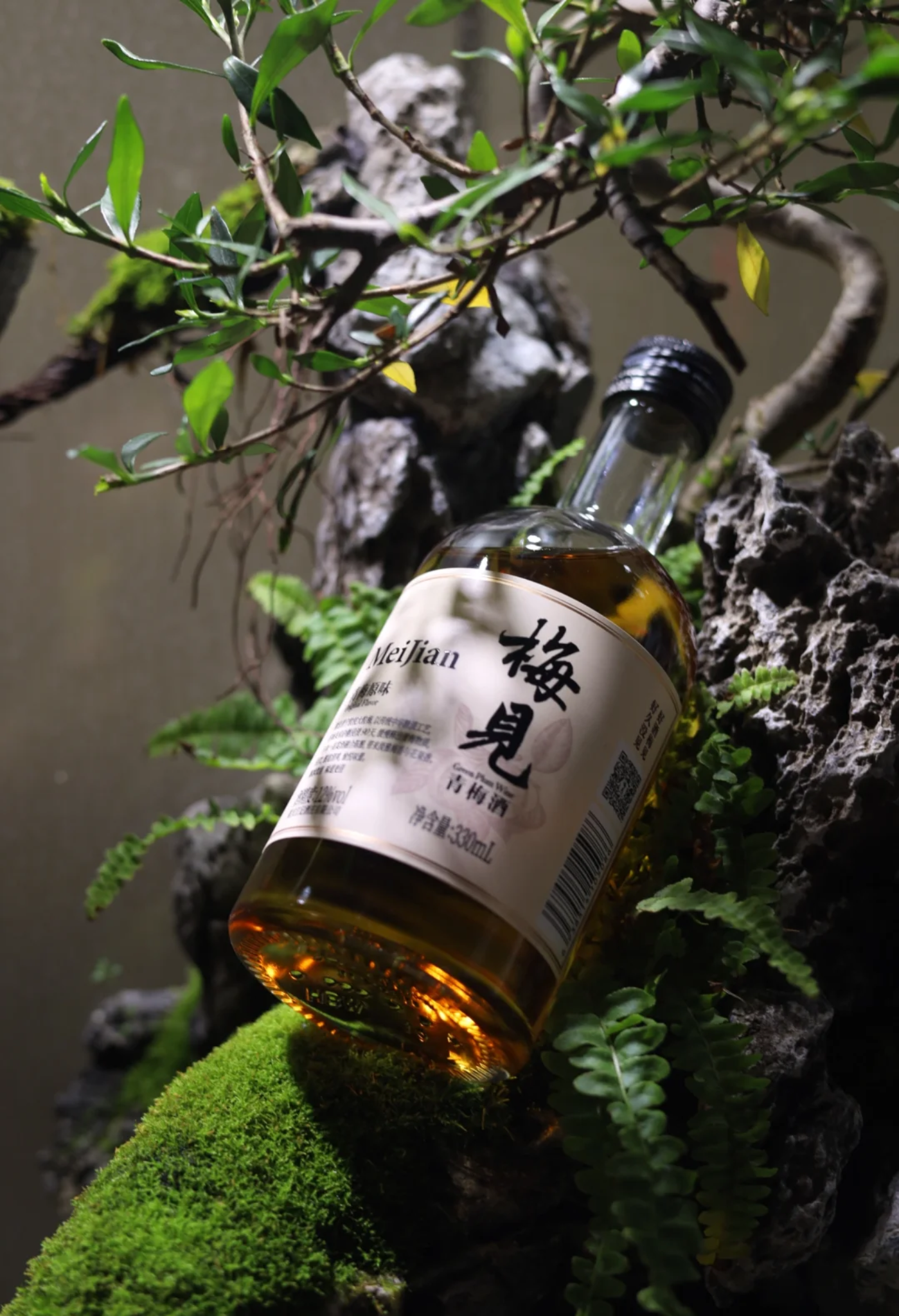 苔蘚石景